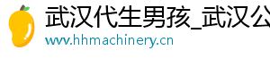 武汉代生男孩_武汉公司_武汉公司	